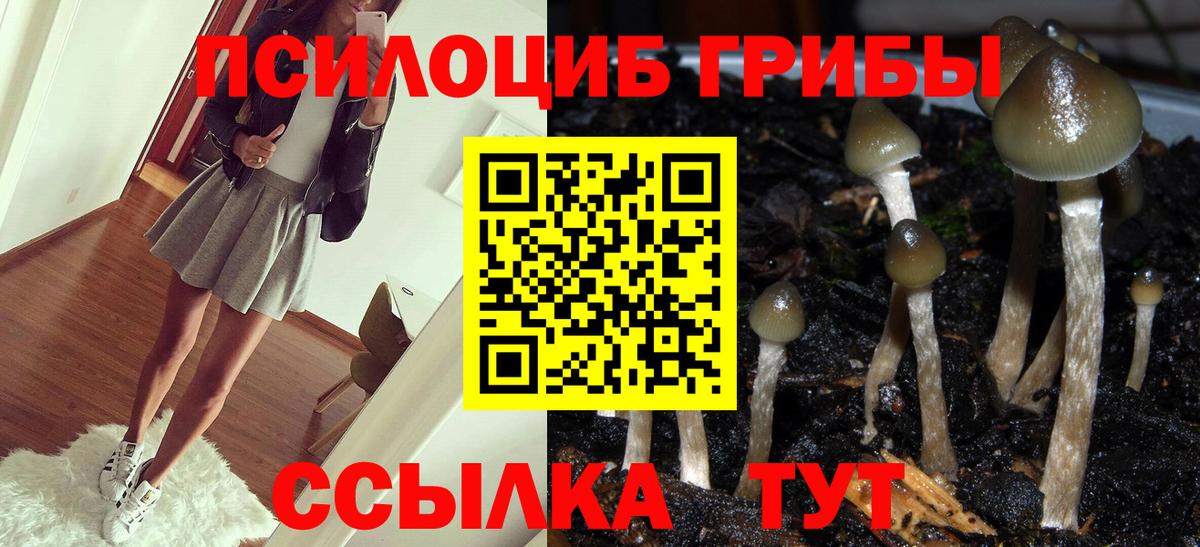 Псилоцибиновые грибы Psilocybe Янаул