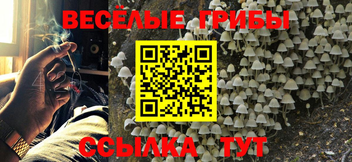 Янаул  закладки  Вход с VPN  Псилоцибиновые грибы GOLDEN TEACHER 